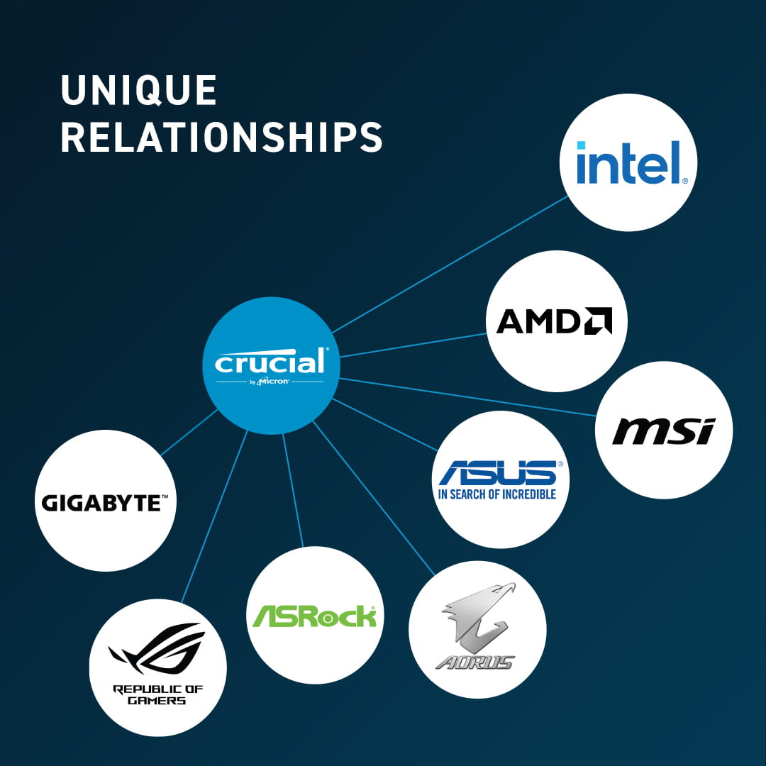 Crucial DDR5 - Modul - 32 GB - DIMM 288-PIN