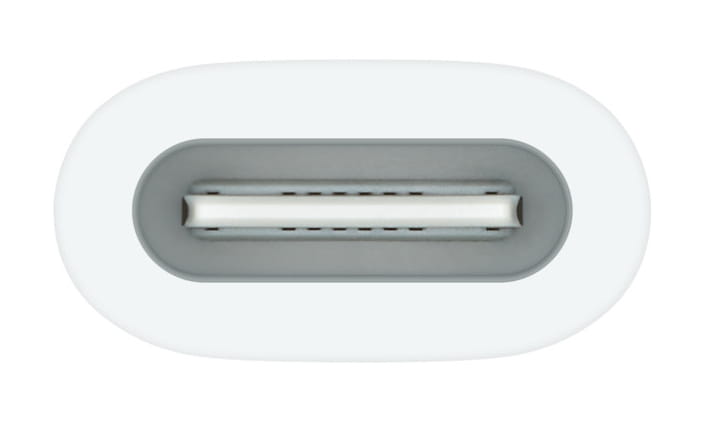 Apple Lightning Adapter - 24 pin USB-C weiblich zu Lightning weiblich - für 10.9-inch iPad (10. Generation)