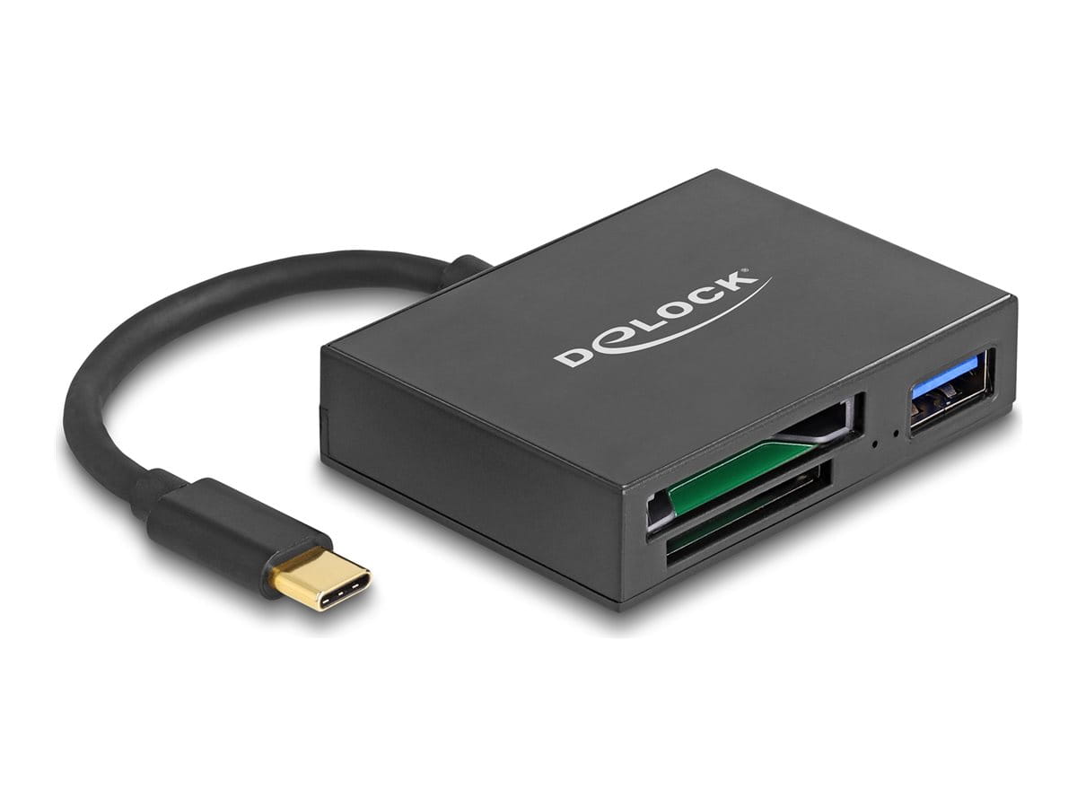 Delock Kartenleser (SD, XQD 2.0) - USB-C