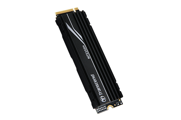 Transcend MTE250H - SSD - 4 TB - intern - M.2 2280 (doppelseitig) *Verpackung geöffnet*