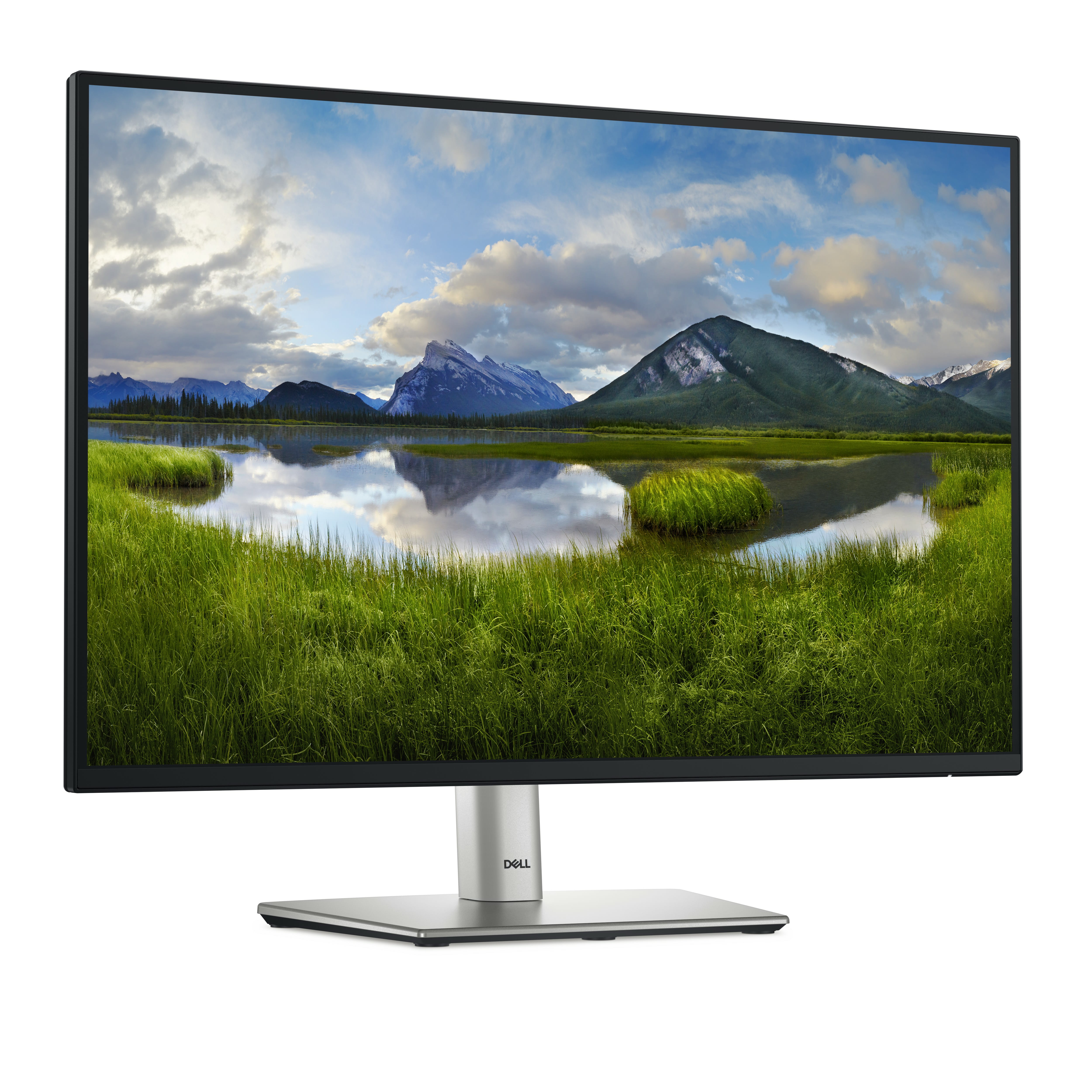 Dell P2425 - LED-Monitor - 61 cm (24") (24.07" sichtbar)