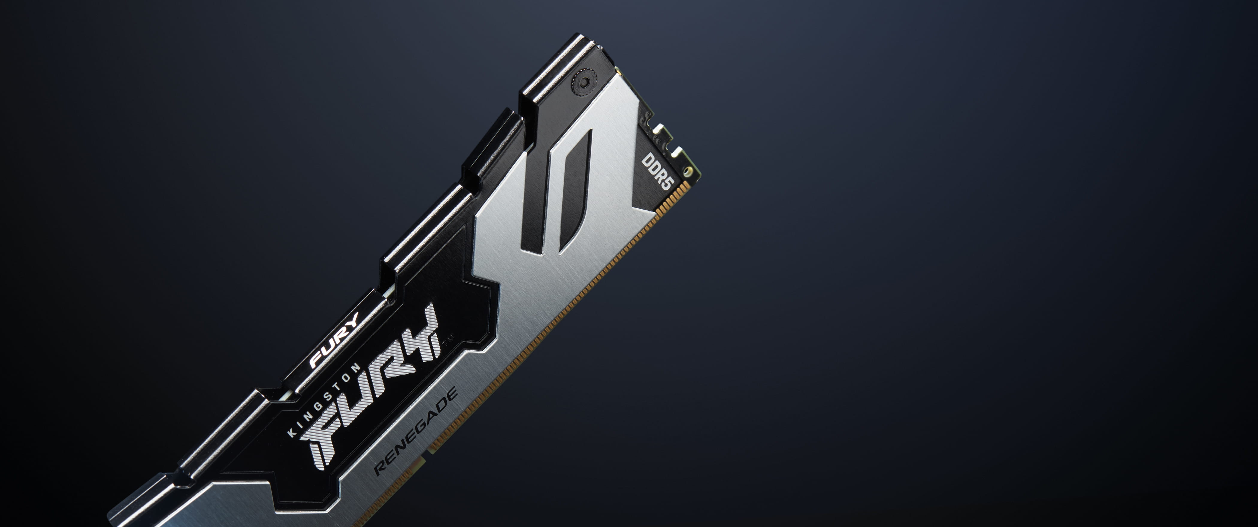 Kingston FURY Renegade - DDR5 - Modul - 48 GB