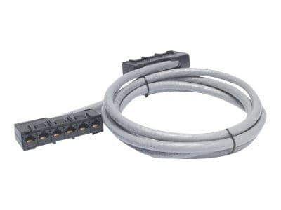 APC Data Distribution Cable - Netzwerkkabel - TAA-konform - RJ-45 (W)