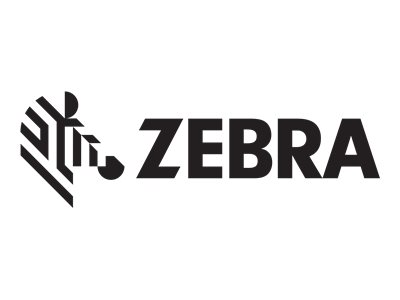 Zebra Reinigungsstift für Druckkopf (Packung mit 12)