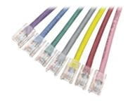 APC Patch-Kabel - RJ-45 (M) zu RJ-45 (M) - 22.8 m