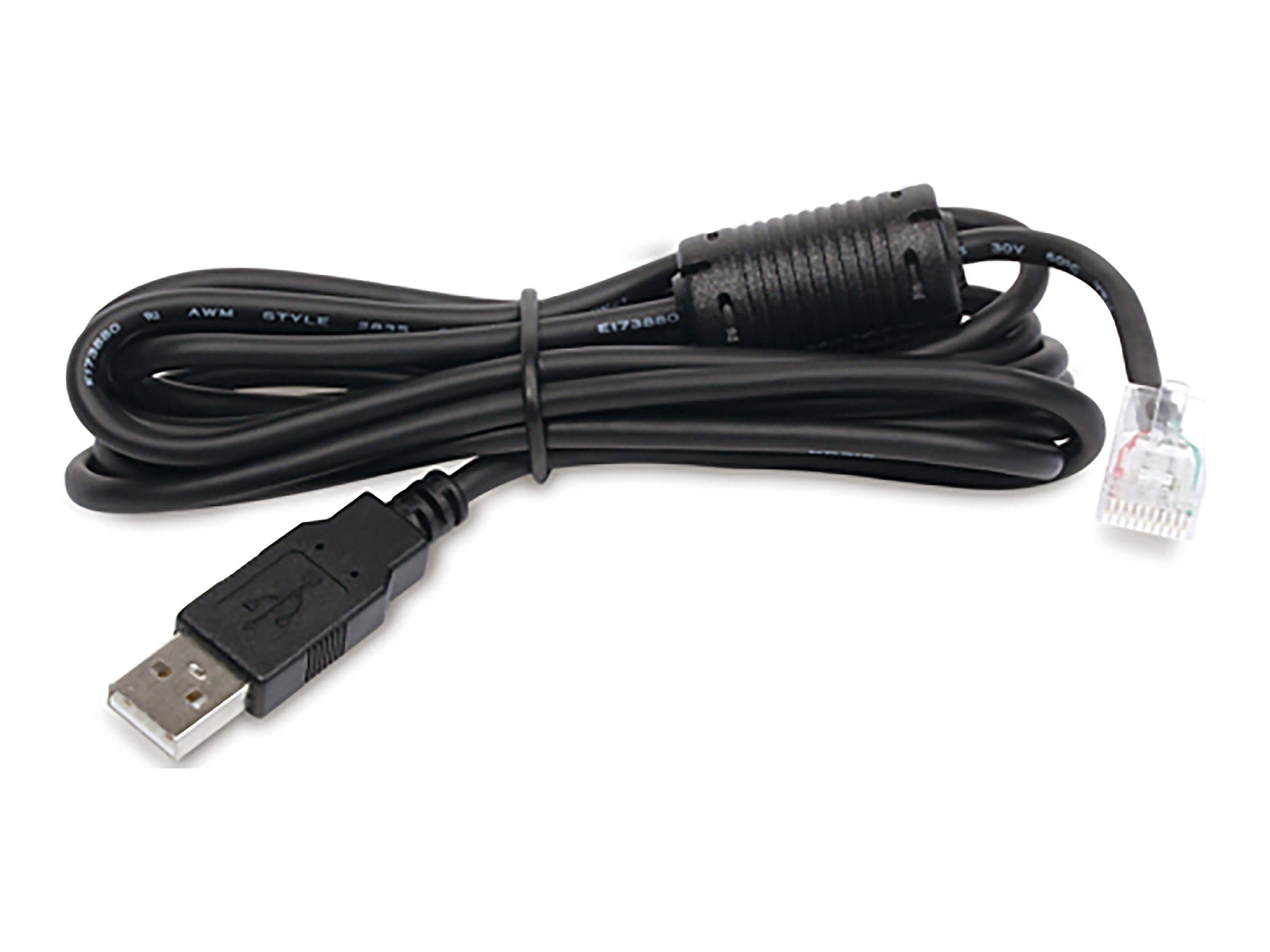 APC USB-Kabel - USB (M) zu RJ-45 (10-polig) (M)