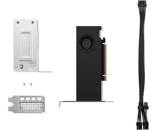 Lenovo NVIDIA RTX 2000 Ada - Grafikkarten - NVIDIA RTX 2000 Ada