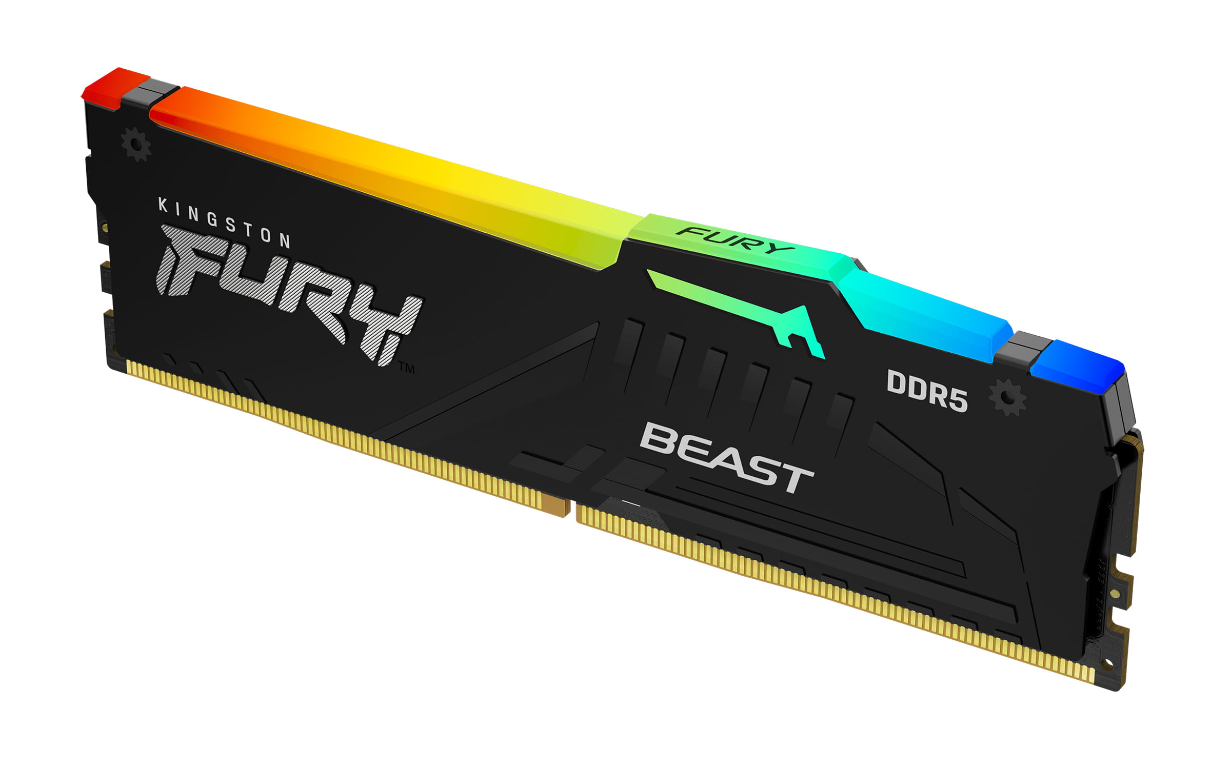 Kingston FURY Beast RGB - DDR5 - Modul - 32 GB