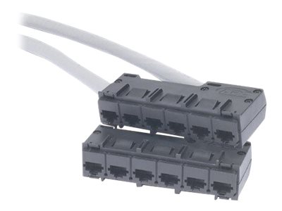 APC Data Distribution Cable - Netzwerkkabel - TAA-konform - RJ-45 (W)