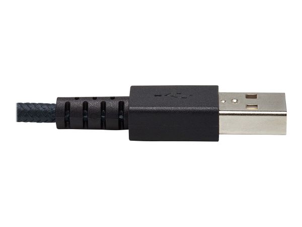 Tripp Kabel / Adapter U038-010-GY-MAX 4