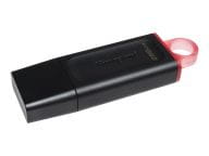 Kingston Speicherkarten/USB-Sticks DTX/256GB 4