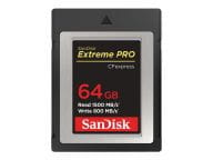 SanDisk Speicherkarten/USB-Sticks SDCFE-064G-GN4NN 1