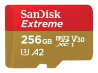 SanDisk Speicherkarten/USB-Sticks SDSQXAV-256G-GN6GN 2