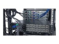 APC Kabel / Adapter AP5262 3