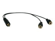 Tripp Kabel / Adapter P313-001 1