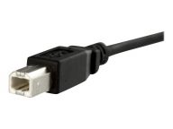 StarTech.com Kabel / Adapter USBPNLBFBM1 3