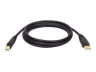 Tripp Kabel / Adapter U022-006 1