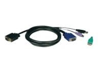 Tripp Kabel / Adapter P780-010 1