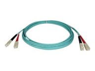 Tripp Kabel / Adapter N806-10M 1