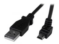 StarTech.com Kabel / Adapter USBAMB2MD 1