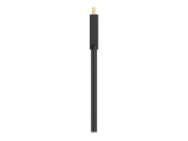 Belkin Kabel / Adapter F2CD001B06-E 4