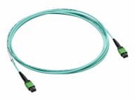 HPE Kabel / Adapter P49765-B25 1