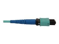 Tripp Kabel / Adapter N846B-03M-24-P 4
