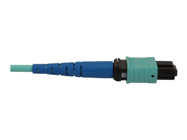 Tripp Kabel / Adapter N846B-10M-24-P 2