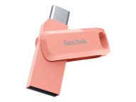 SanDisk Speicherkarten/USB-Sticks SDDDC3-256G-G46PC 3