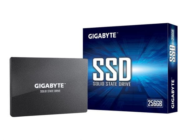 Gigabyte SSDs GP-GSTFS31256GTND 3