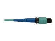 Tripp Kabel / Adapter N846B-01M-24-P 3