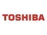 Toshiba Farbbänder B4527060AS2 1