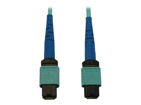 Tripp Kabel / Adapter N846B-01M-24-P 1