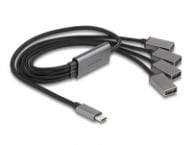 Delock USB-Hubs 64210 1