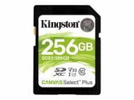 Kingston Speicherkarten/USB-Sticks SDS2/256GB 2