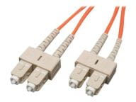 Tripp Kabel / Adapter N306-002 1