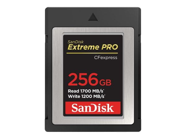 SanDisk Speicherkarten/USB-Sticks SDCFE-256G-GN4NN 1