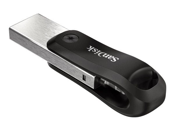 SanDisk Speicherkarten/USB-Sticks SDIX60N-064G-GN6NN 2