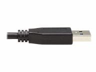 Tripp Kabel / Adapter U428-20N-G2 2