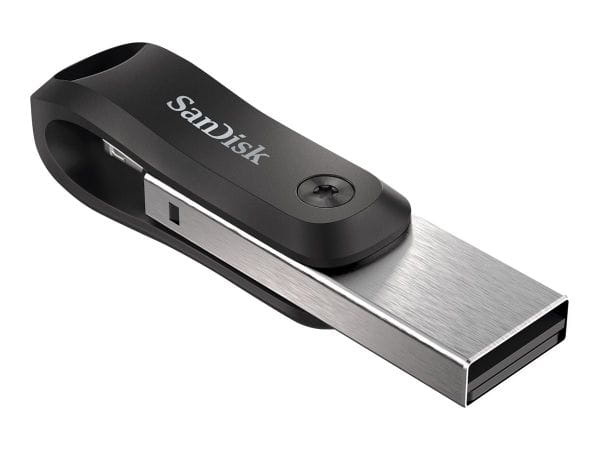 SanDisk Speicherkarten/USB-Sticks SDIX60N-256G-GN6NE 3