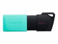 Kingston Speicherkarten/USB-Sticks DTXM/256GB 1
