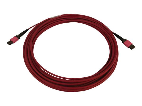 Tripp Kabel / Adapter N845B-10M-12-MG 5
