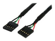 StarTech.com Kabel / Adapter USBINT5PIN12 1