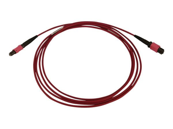 Tripp Kabel / Adapter N845B-02M-12-MG 3