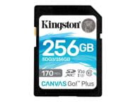 Kingston Speicherkarten/USB-Sticks SDG3/256GB 1