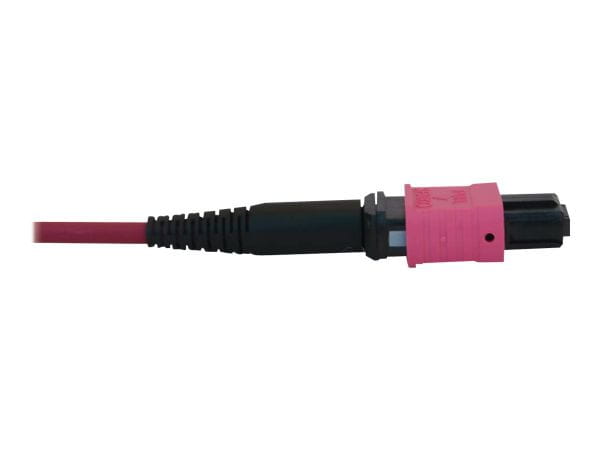 Tripp Kabel / Adapter N845B-03M-12-MG 3