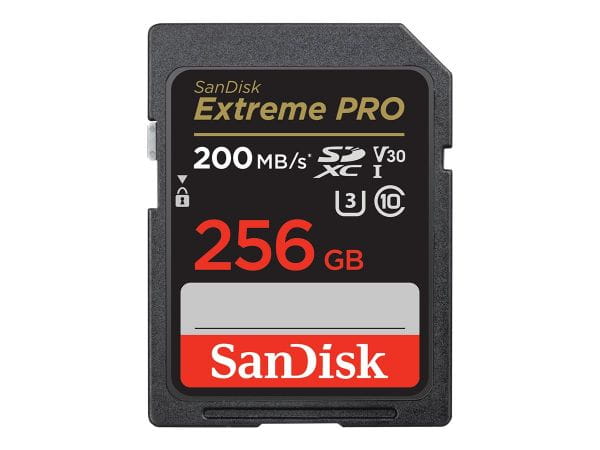 SanDisk Speicherkarten/USB-Sticks SDSDXXD-256G-GN4IN 1
