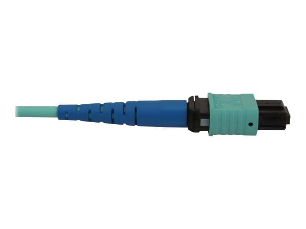 Tripp Kabel / Adapter N846B-01M-24-P 2