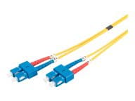 DIGITUS Kabel / Adapter DK-2922-01 1
