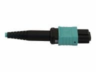 Tripp Kabel / Adapter N844B-10M-12-P 2